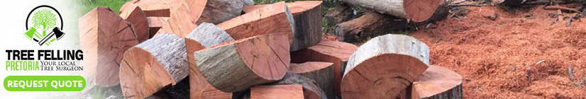 logs for log burner pretoria 